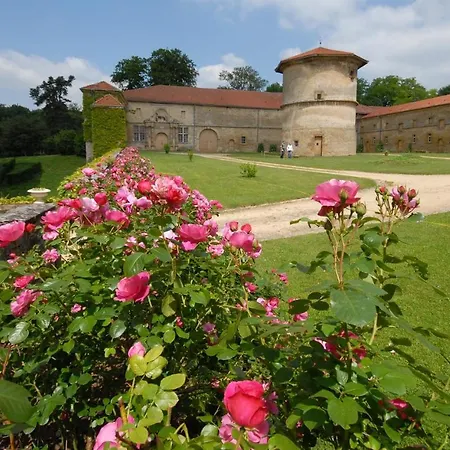 Zythogite 9 Personnes, Jardin, Bbq Tintigny