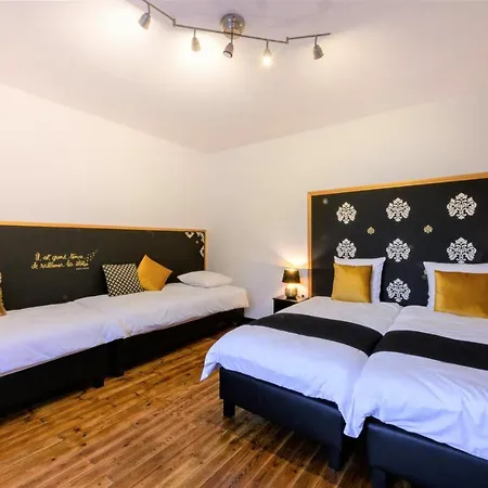 アパート Zythogite 9 Personnes, Jardin, Bbq Tintigny