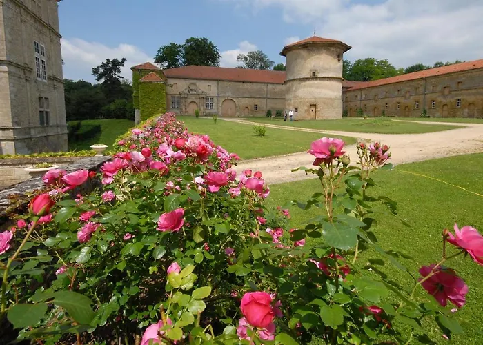 Zythogite 9 Personnes, Jardin, Bbq Tintigny