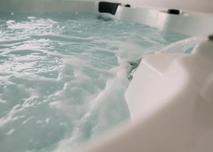 Zythogite 9 Personnes, Jardin, Bbq *